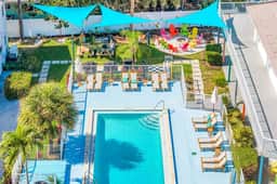 Hawksbill 203 — Beachfront King Studio Heated Pool - Image 5